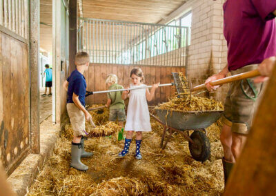 Aktivitäten: Arbeit auf dem Bauernhof - Glamping-Familienurlaub in Bayern | Dengler Hof